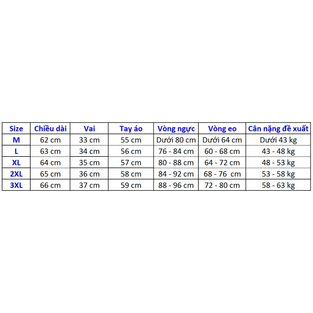 Áo thun nữ kiểu Hàn Quốc dáng ôm dài tay