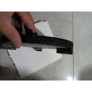 nấm đáy hồ cá Koi 10cm -15cm