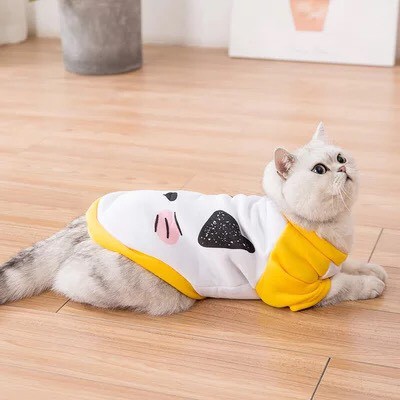 [Mã PET50K giảm Giảm 10% - Tối đa 50K đơn từ 250K] ÁO THỜI TRANG XINH XẮN CHO CHÓ MÈO