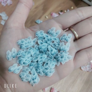 hoa bột nail hoa ẩn chân