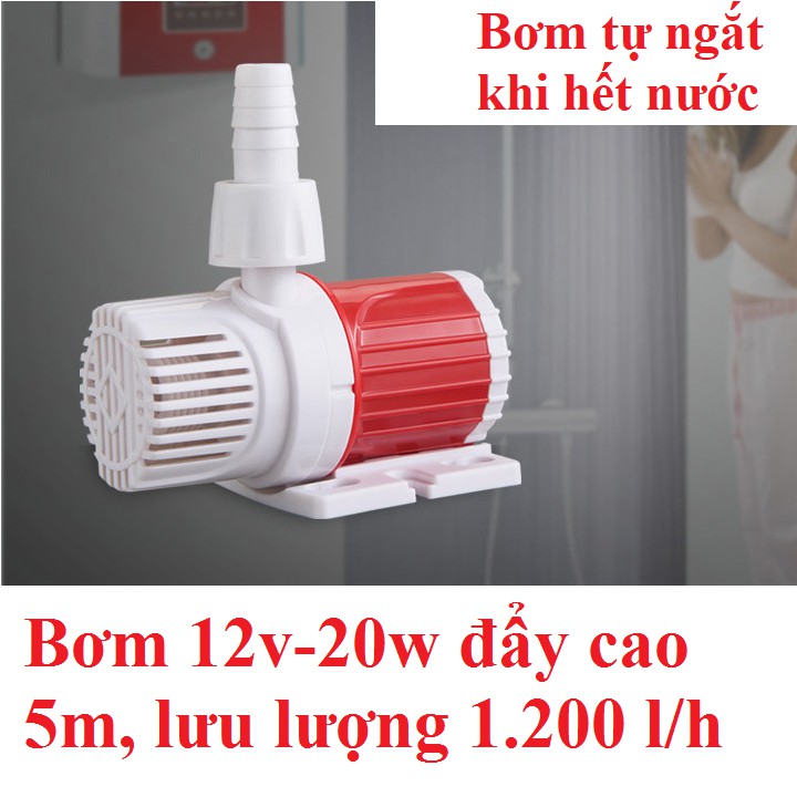 Bơm 12v - Đẩy cao 5m - Không chổi than