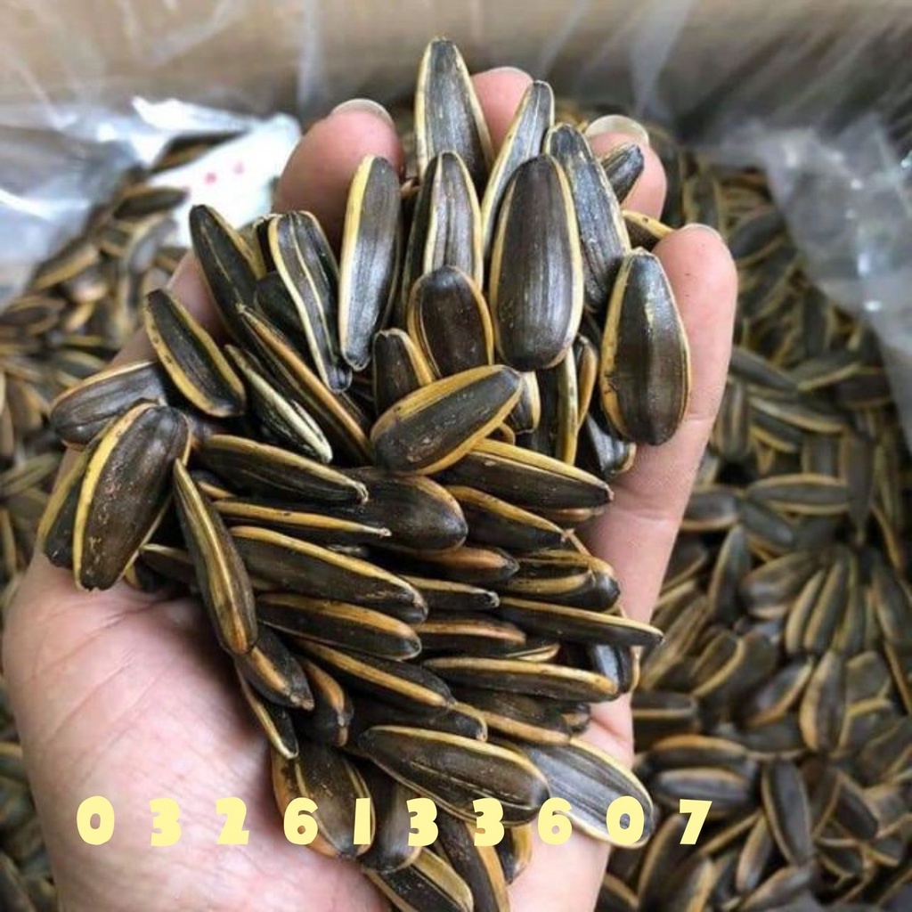 500G Hạt Hướng Dương Vị Dừa, Hướng Dương Tẩm Vị Hạt To Chắc Mẩy, đồ ăn vặt