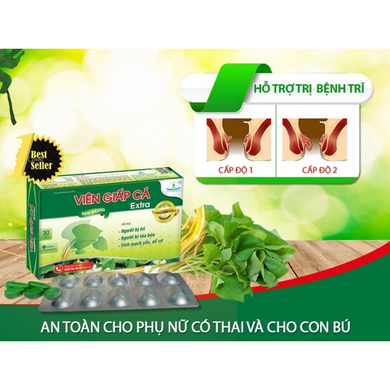 Viên Giấp Cá - Hỗ trợ bệnh trĩ