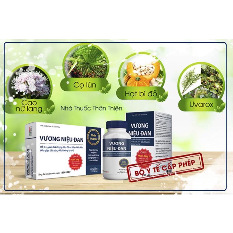 Vương Niệu Đan - Giúp cải thiện tình trạng tiểu đêm, tiểu nhiều lần (20 Viên &amp;80 viên)