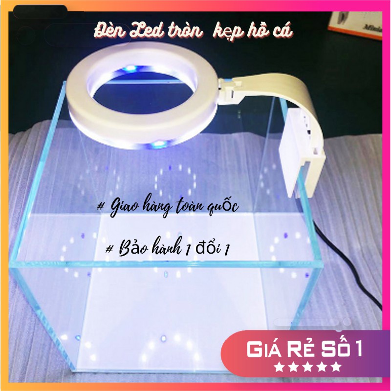 Đèn bể cá mini LED KẸP siêu sáng phù hợp cho bể cá bể thủy sinh nhiều mẫu