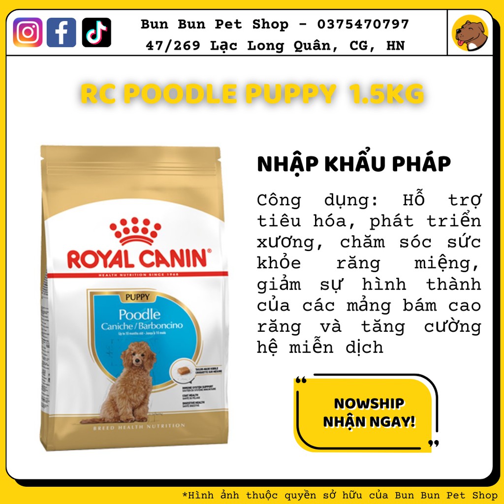 1,5kg Hạt khô Royal Canin Poodle Junior cho Poodle chó con