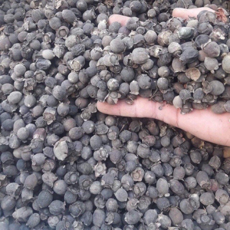 quả sim rừng  khô túi 1kg