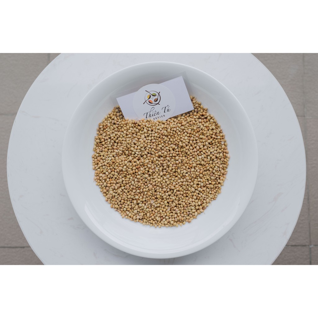 GIA VỊ HẠT NGÒ (RAU MÙI) LỚN 100GR | BigBuy360 - bigbuy360.vn