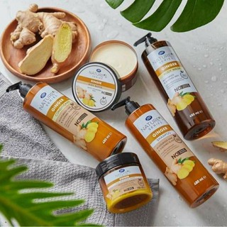 Dầu gội gừng NATURES GINGER 480ml Thái Lan (SĂN SALE)