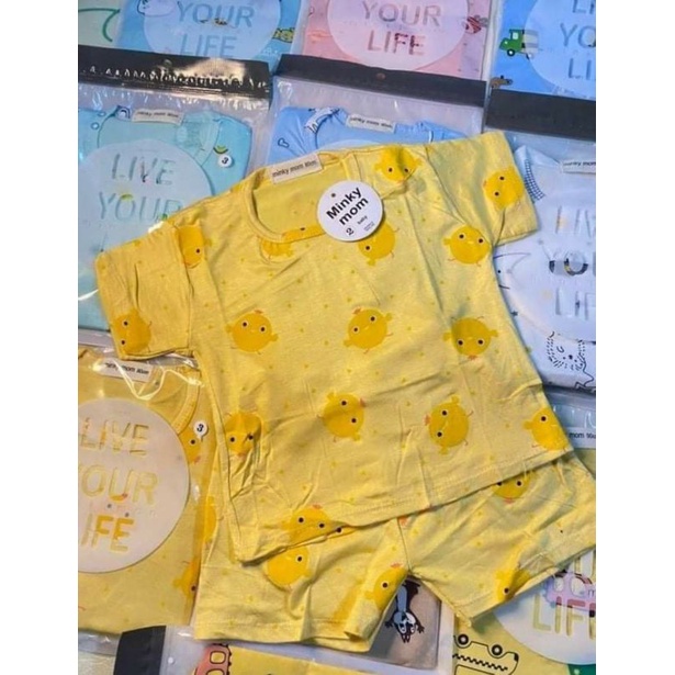 Combo 5b ngắn thun lạnh minkymom