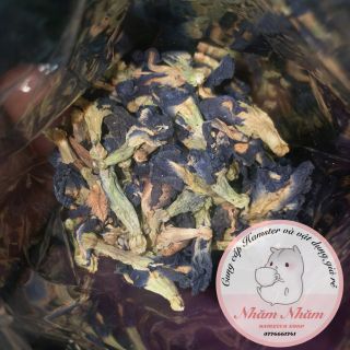Hoa đậu biếc khô - thức ăn dặm cho hamster