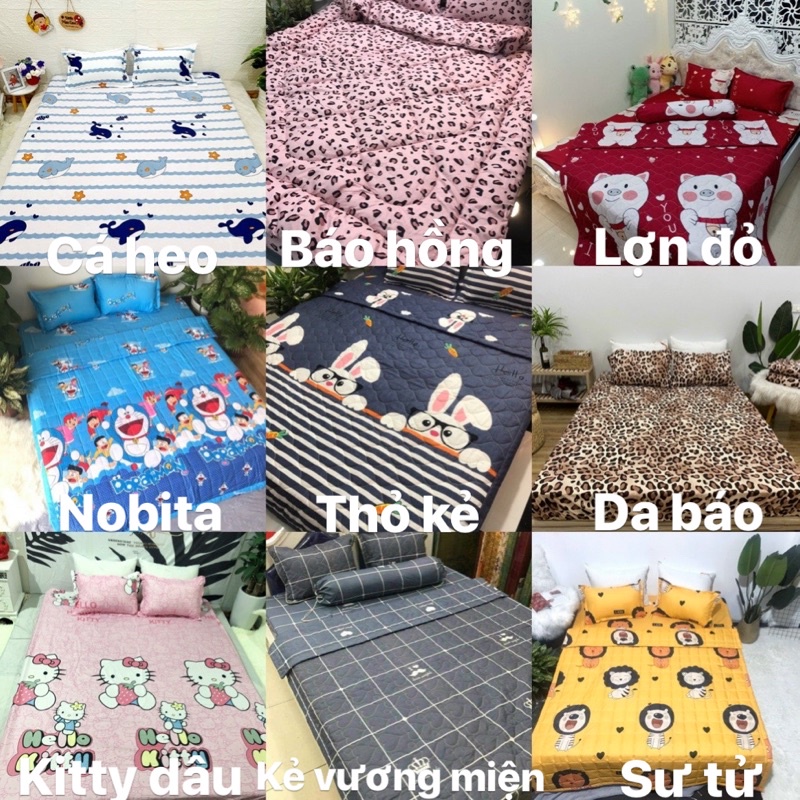 Vỏ Chăn Mỏng 2 lớp Cotton Poly - Nhận May theo size yêu cầu / Được chọn mẫu