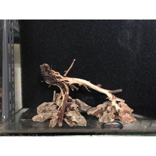 Lũa ghép bể cá 40cm