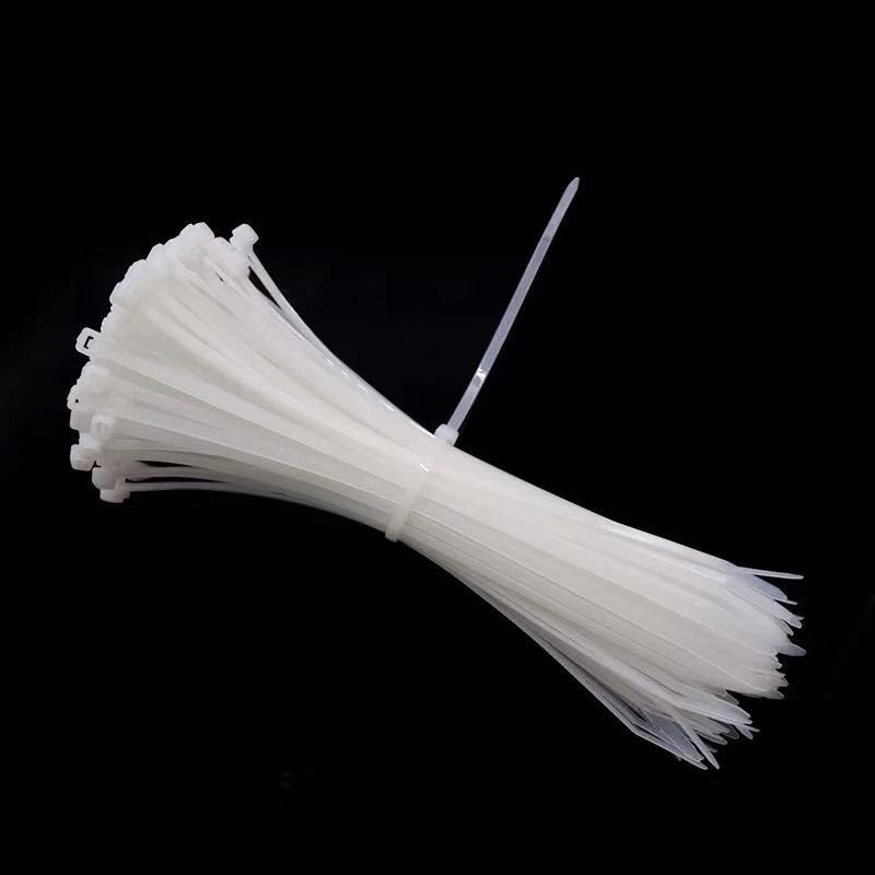 10 Sợi dây rút nhựa trắng 10cm