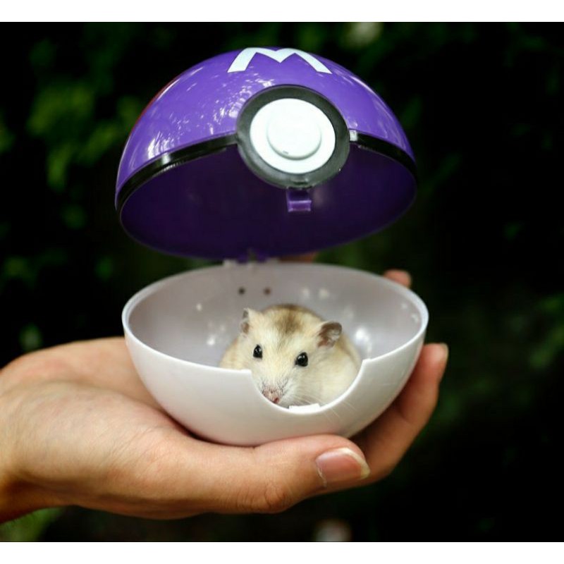 Bóng pokemon takeaway(Hamsters)