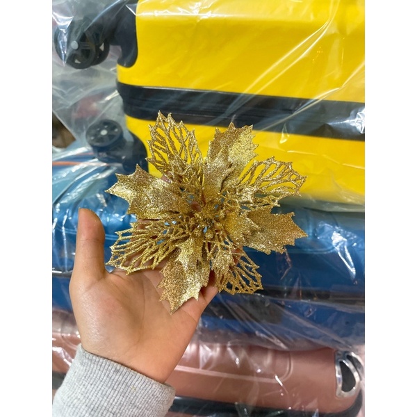 Hoa kép ,hoa nhũ sỉ hoa trạng nguyên làm giỏ quà tết, trang trí noel