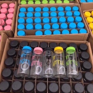 (Chọn màu) BÌNH NƯỚC THUỶ TINH MY BOTTLE