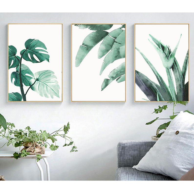 Tranh Canvas Cao Cấp | Tranh cây lá nhiệt đới, bộ 3 tranh Monstera, Nghệ thuật thực vật,lá chuối, Nghệ thuật treo tường