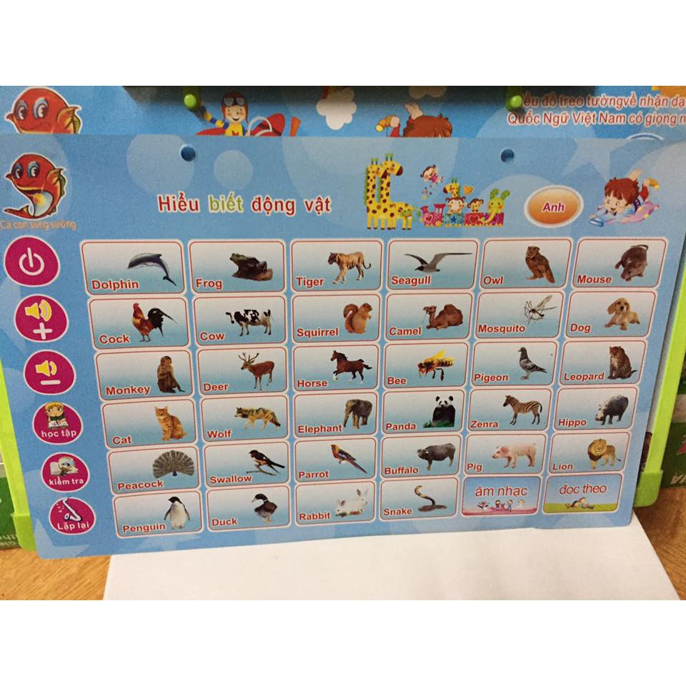 Bảng đọc chữ cái nhận dạng giọng nói, phát tiếng đa năng Anh - Gutykids