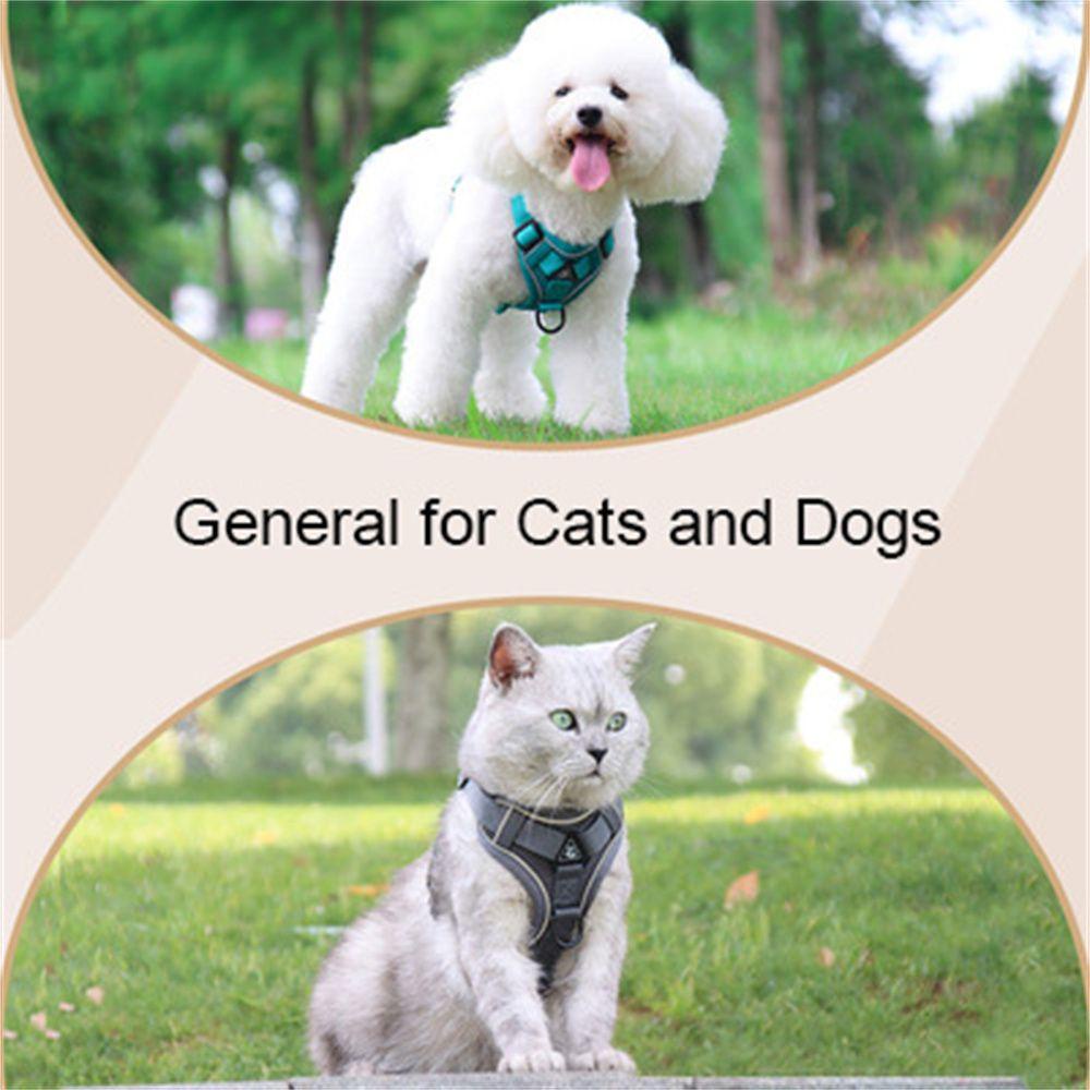 YNATURAL Breathable Small Dog Harness Leash Animal Leash Vest-style Dog Harness Anti-lost Dog Collar Dog Accessories Cat Accessories Walking Dog Leash/Multicolor