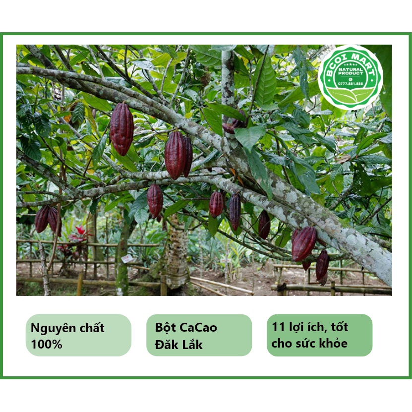 Bột Cacao nguyên chất 100% - Cacao Đăk Lăk 500 gram - bot ca cao nguyen chat dac lac