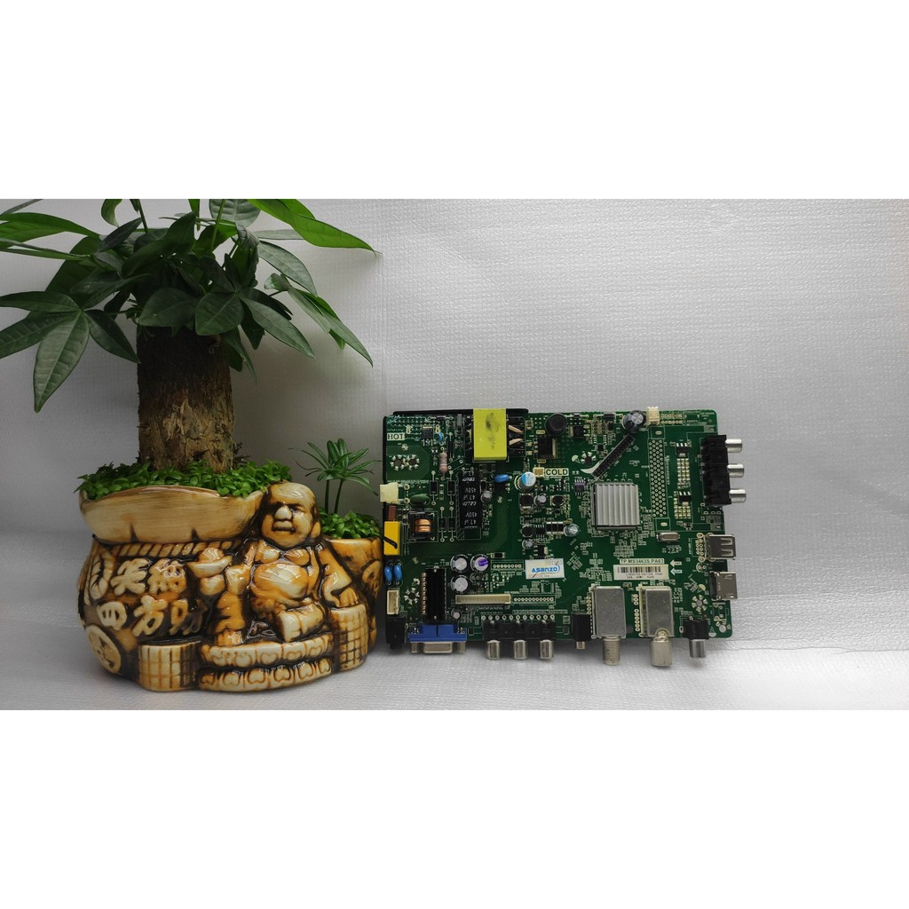 BO ASANZO CÁC LOẠI