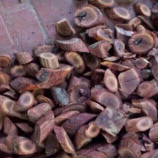 Cây Mú Từn 1kg