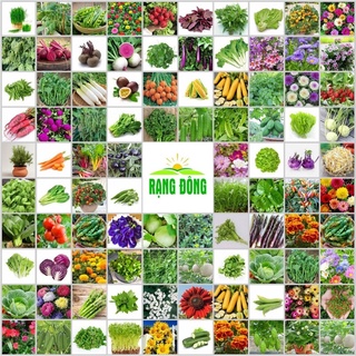 Hạt giống các loại rau củ - quả [ Tỷ lệ nẩy mầm cao ]