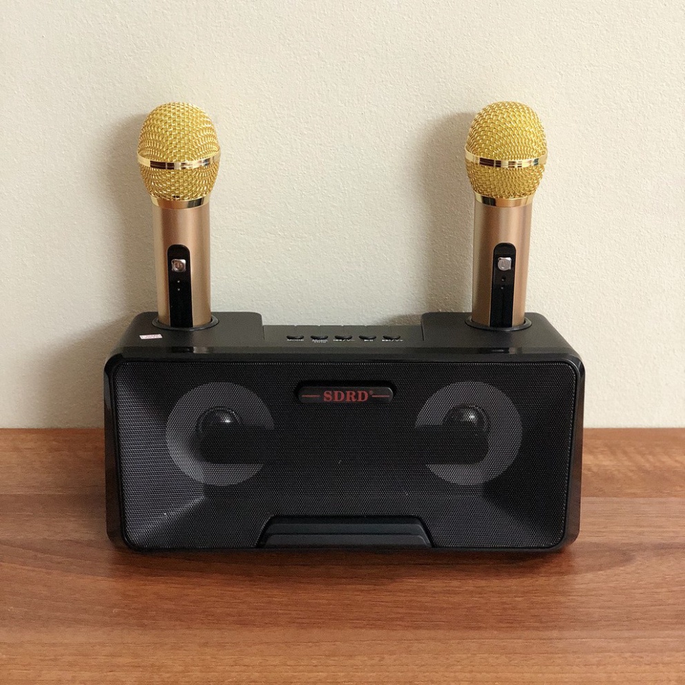 Loa Karaoke SDRD SD 301- TẶNG Kèm 2 Mic Không Dây