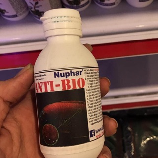 [DUNG DỊCH GIÚP CÁ HẾT NẤM] Anti Bio dung dichh giúp cá hết nấm , làm sạch trùn chỉ