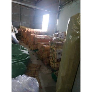 Chiếu trúc vân gỗ