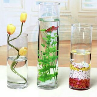BÌNH BÔNG LỌ HOA THỦY TINH TRANG TRÍ 8x30cm