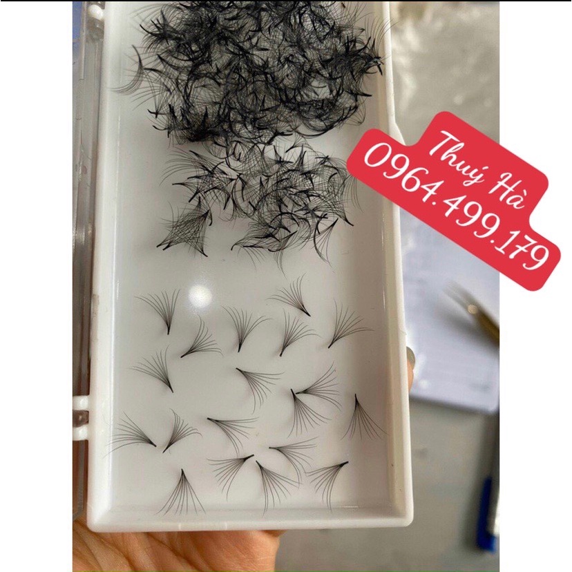 mi fan 8d HỘP 500 FAN ĐỘ CONG C-CC-D DÀY 0,05 DỤNG CỤ NỐI MI -thuý hà