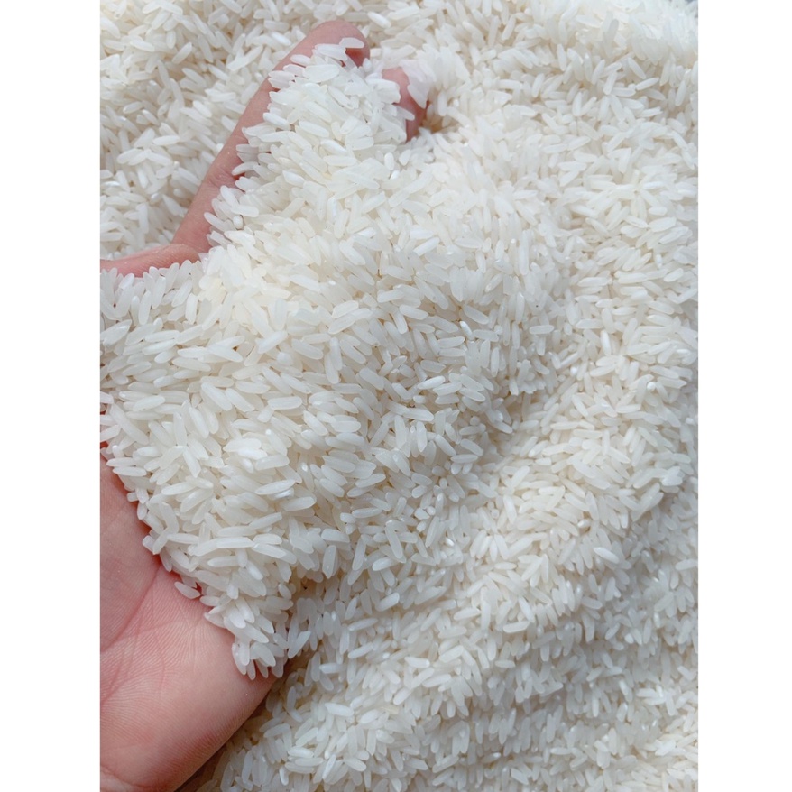 Gạo Tám Xoan Thương Hạng VJA Túi 10kg - Giá Sỉ, Date mới