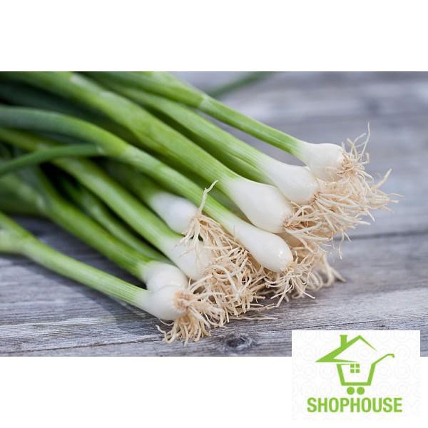 Shophouse Gói 5 gr hạt giống hành ta  SHOP HOUSE  TẾT KHUYẾN MẠI
