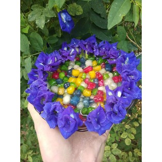 Cọng bưởi làm sẵn dạng viên