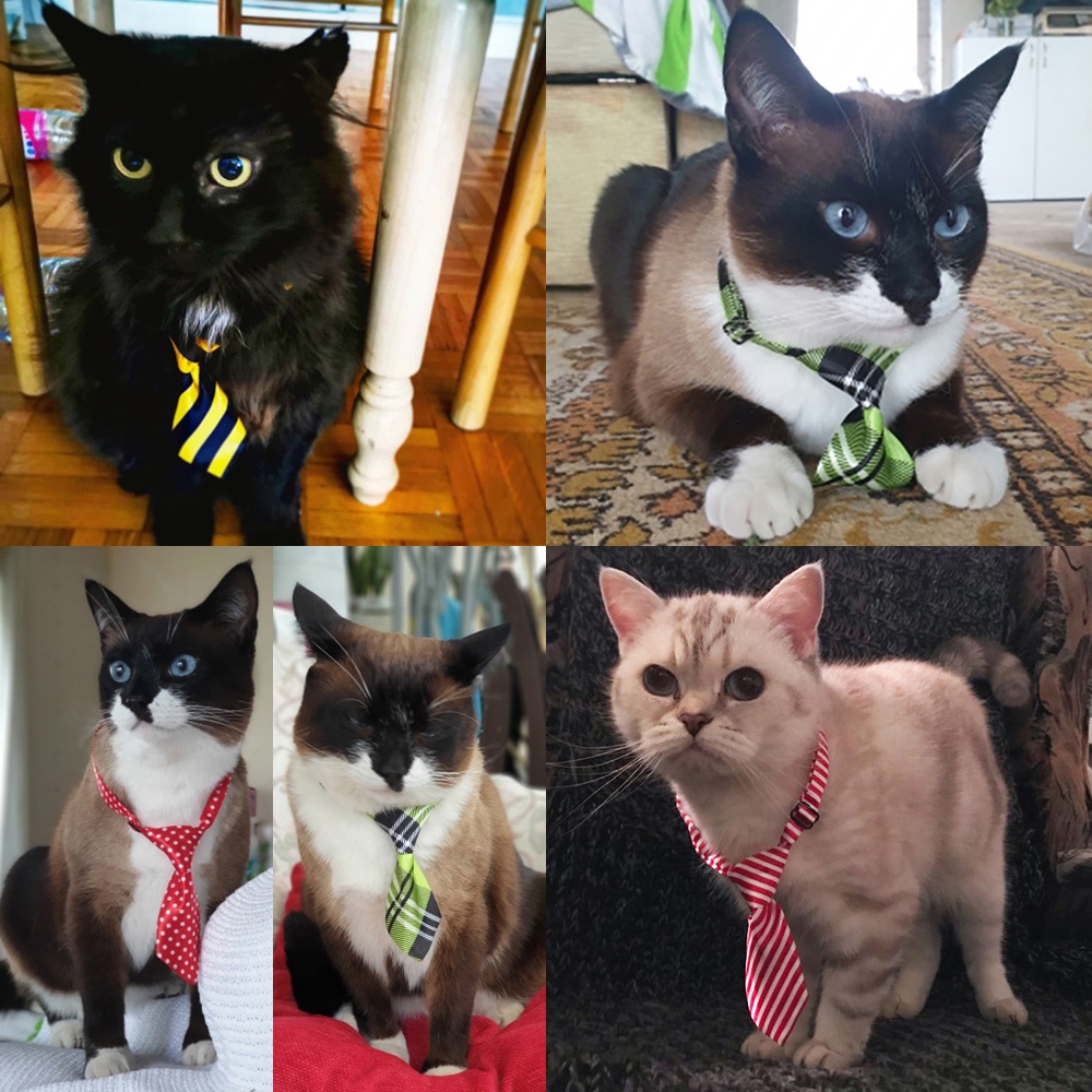 Cà Vạt Nơ Dễ Thương Nhiều Màu Sắc Dành Cho Thú Cưng