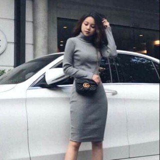 Đầm Váy Cổ lọ tay dài Hannah Clothes