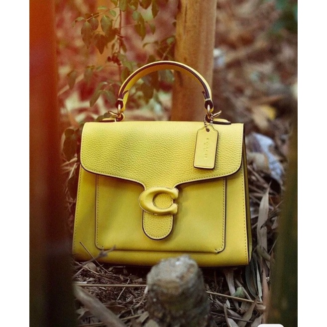 Túi coach dư xịn