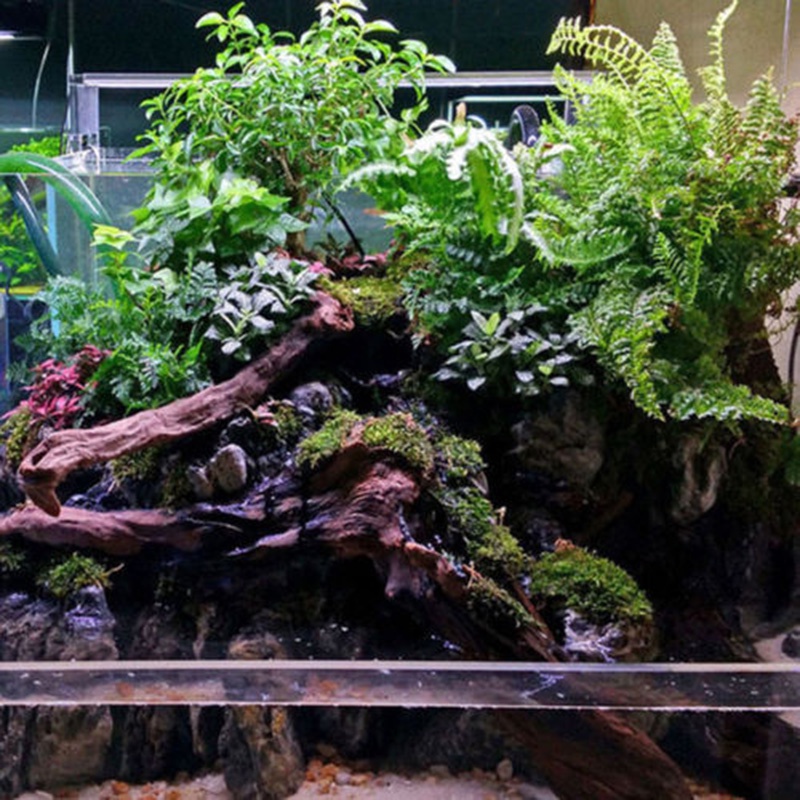 Đồ Trang Trí Hồ Cá Hình Thân Cây Gỗ ☆Bjfranchisesky