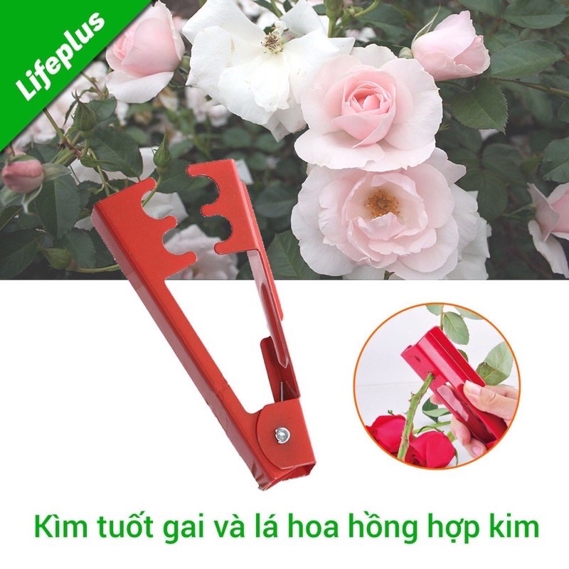 Kìm Tuốt Gai Hồng , Tuốt Lá Hoa Siêu Tiện Lợi-KIM LOẠI-DÀY SỊN