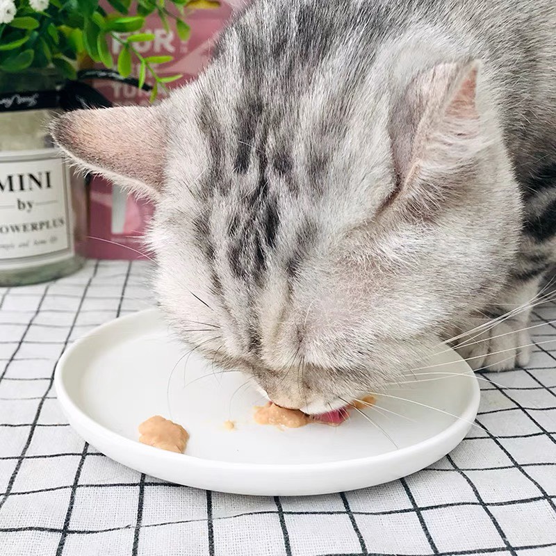 Súp thưởng cho mèo Furfurland 10g, kem snack dinh dưỡng tăng cân mèo lớn con nhỏ Con Mèo Xiêm