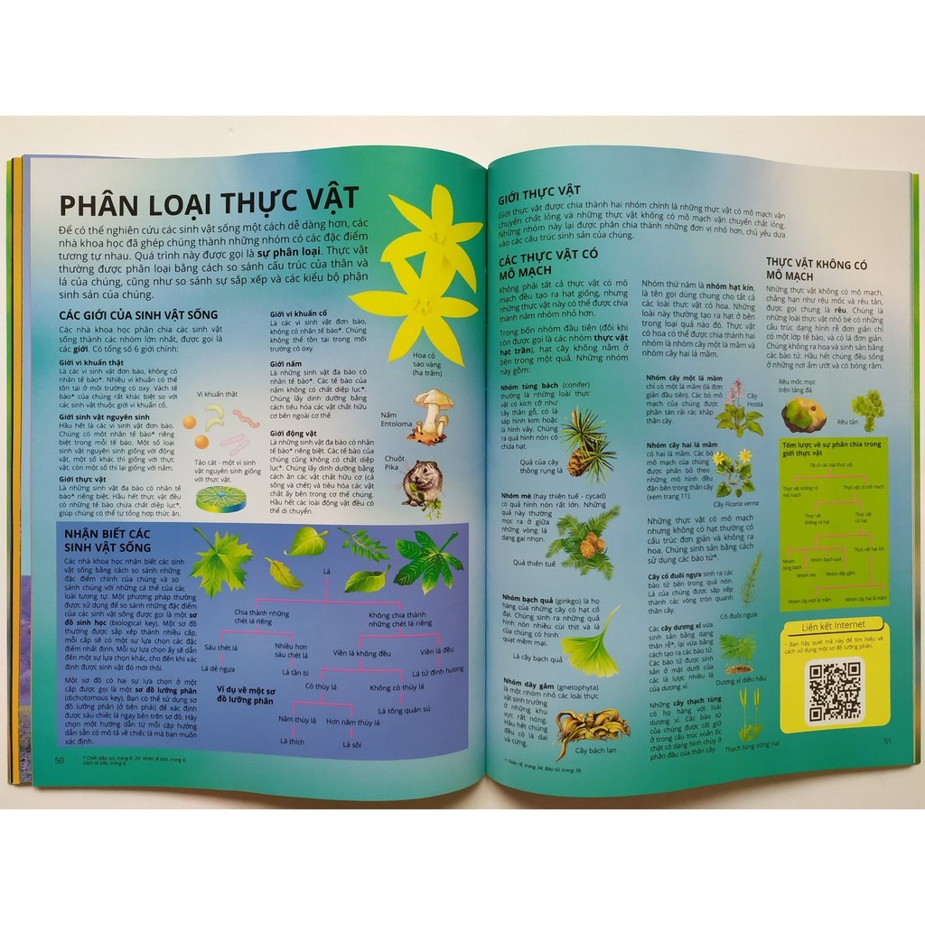 SÁCH - Science Encyclopedia - Bách khoa thư về khoa học- Thực vật và nấm