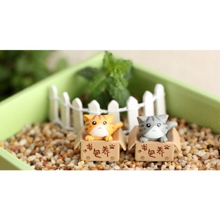 ❤❤Mèo Ngồi Hộp Siêu Dễ Thương❤❤ Phụ Kiện Trang Trí Tiểu Cảnh Sen Đá, Terrarium, Decord Mô Hình, Nhà Búp Bê