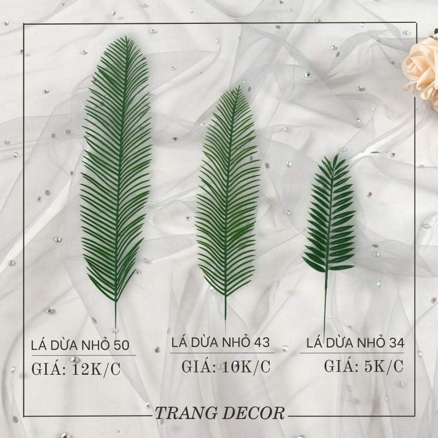 Lá trang trí, lá decor, lá chụp ảnh, lá bó hoa giá chỉ 5000-20000k