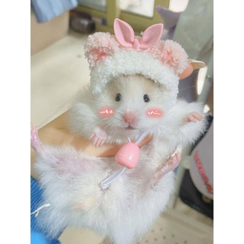 Mũ Tai Bèo Hình Gấu Vàng / Thỏ / Cà Rốt / Luffy Dễ Thương Cho Chuột Hamster