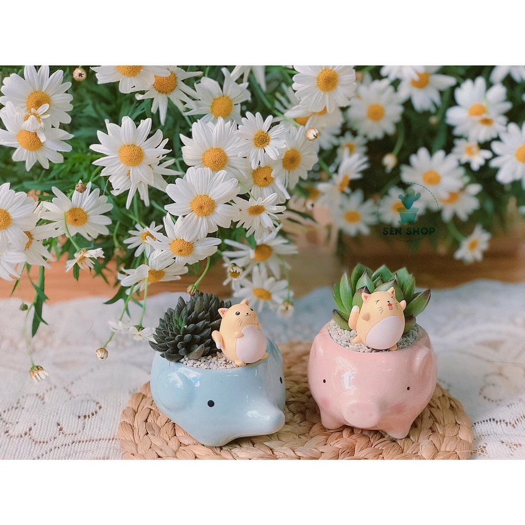 Chậu hình thú chất liệu gốm sứ .