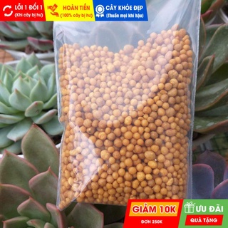 Phân tan chậm vàng thái lan | freeship