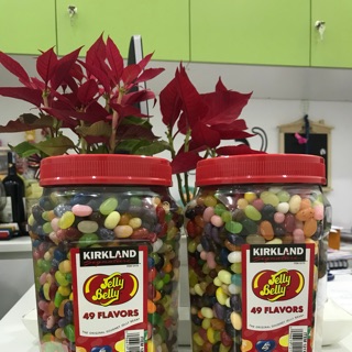 Kẹo dẻo Jelly Belly 49 vị - Hàng Mỹ