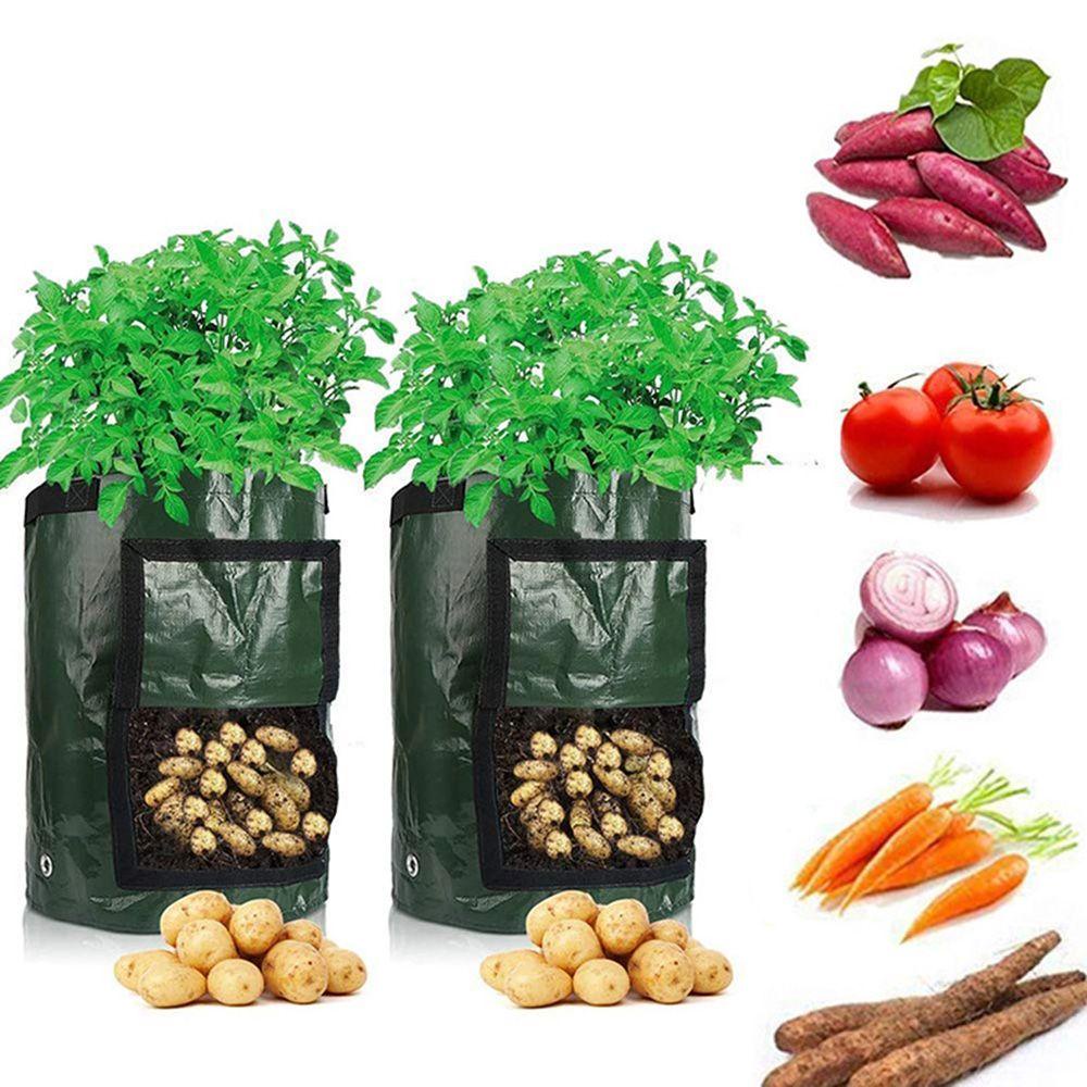 Túi Trồng Khoai Tây Có Thể Tái Sử Dụng